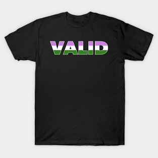 Valid Genderqueer Pride T-Shirt